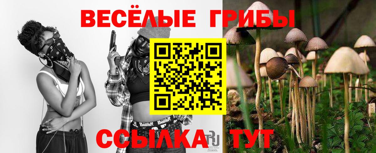 Галлюциногенные грибы MAGIC MUSHROOMS  Вход с VPN  Новоалтайск 