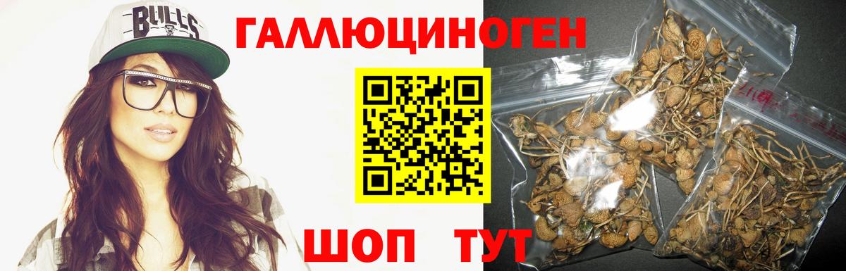 Галлюциногенные грибы мухоморы Новоалтайск